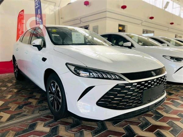 بي واي دي Qin Plus 2025 للبيع في العراق - النجف